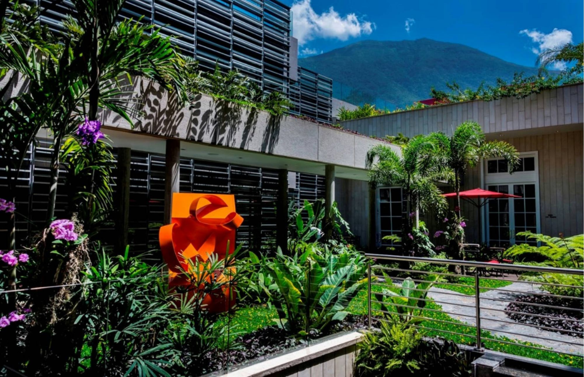 Hotel Cayena | Prosein