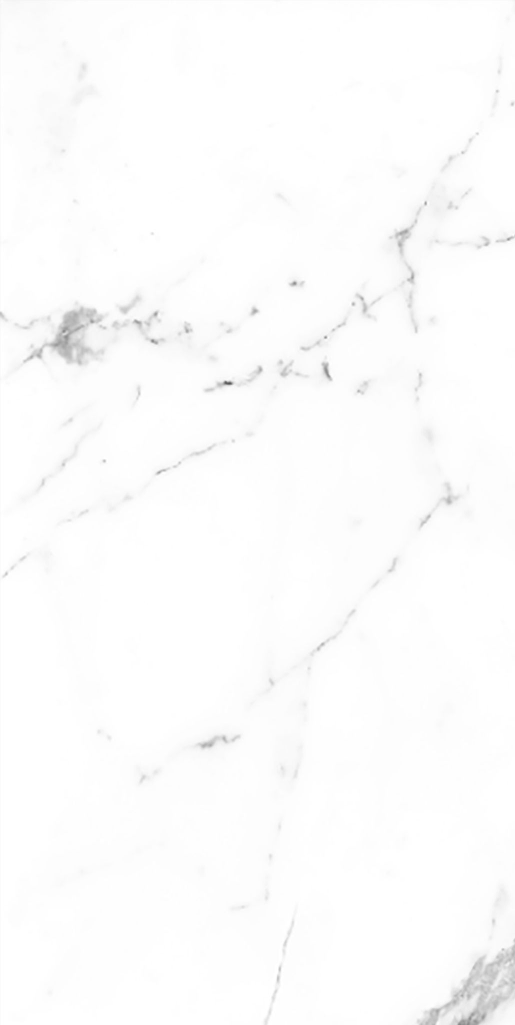 CER STATUARIO SATIN 46X92,2 RECT | Prosein
