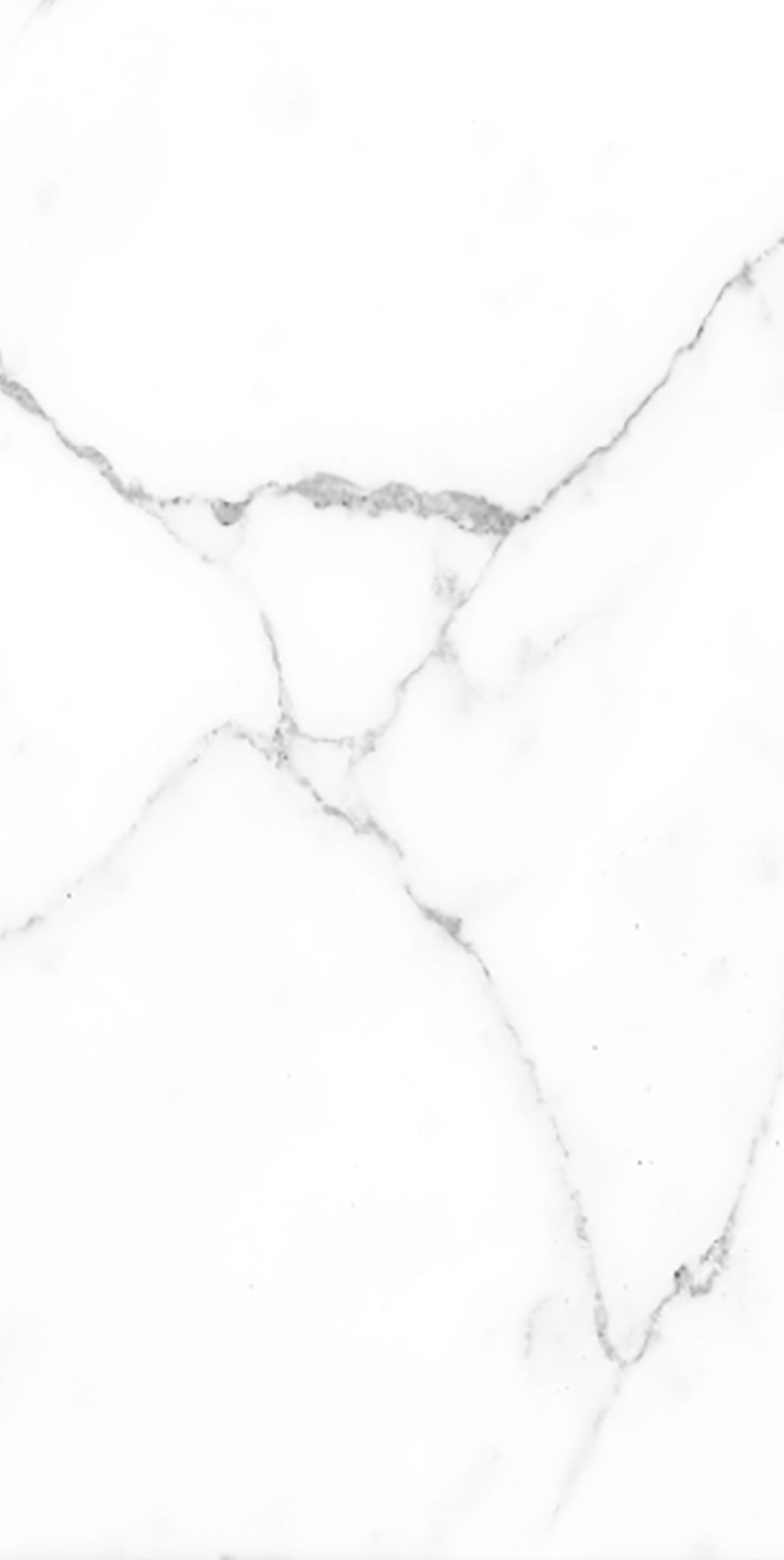 CER STATUARIO SATIN 46X92,2 RECT | Prosein
