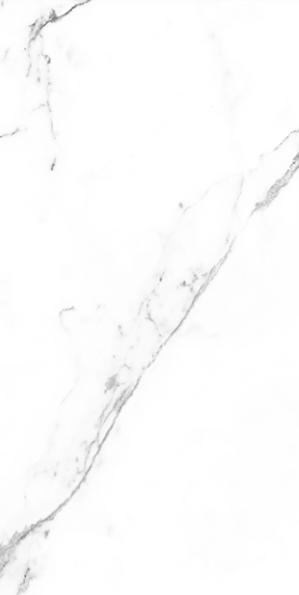 CER STATUARIO SATIN 46X92,2 RECT | Prosein