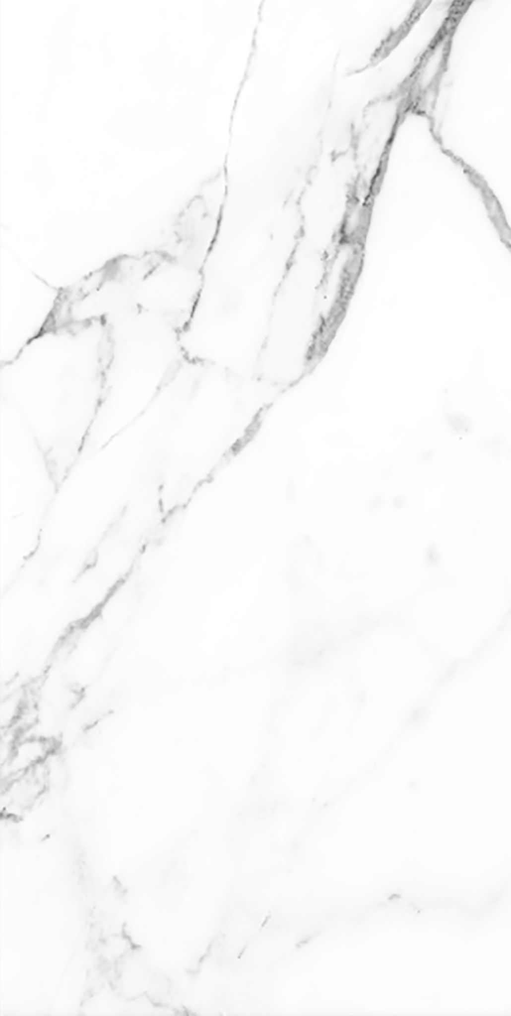 CER STATUARIO SATIN 46X92,2 RECT | Prosein