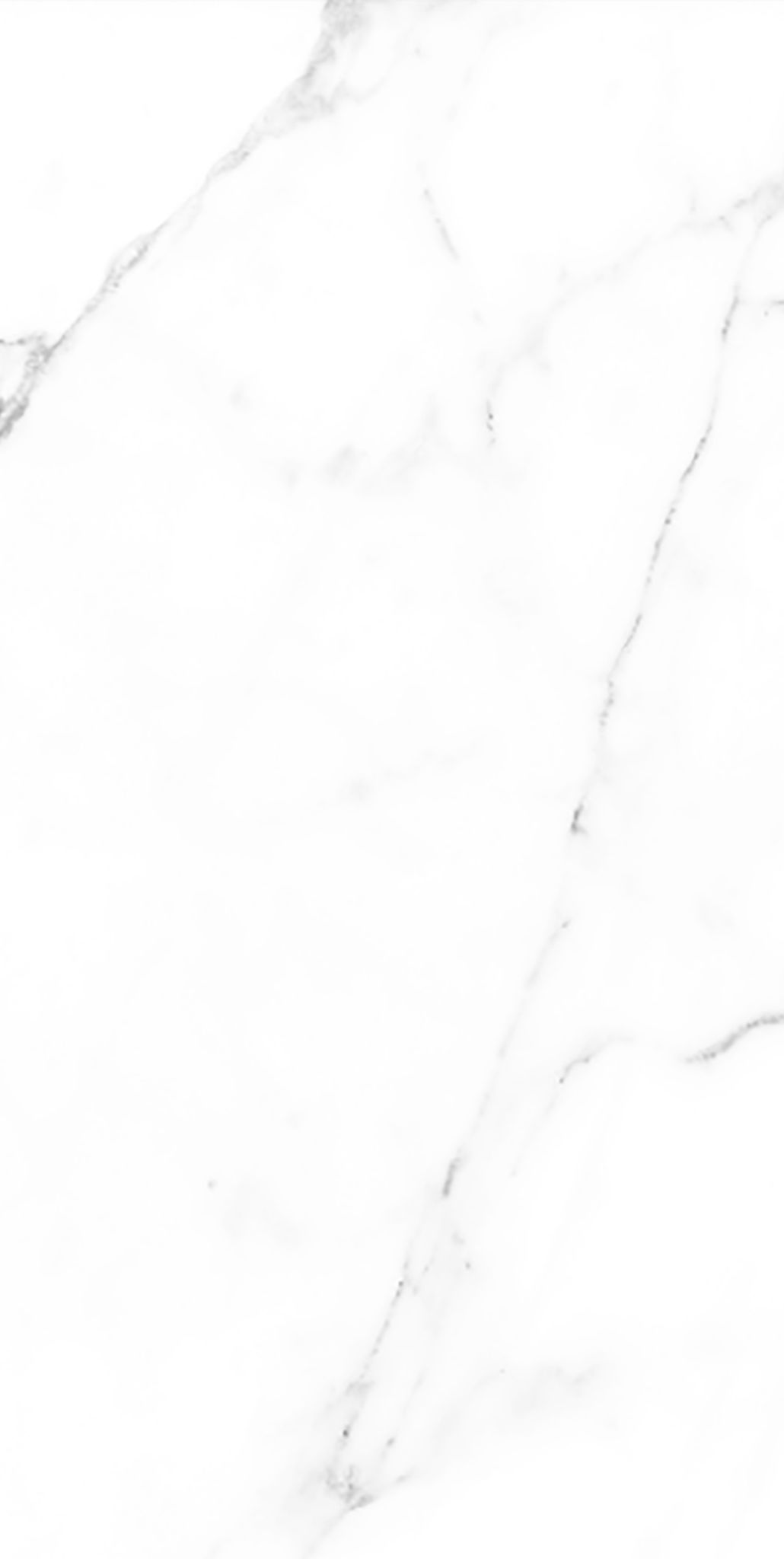 CER STATUARIO SATIN 46X92,2 RECT | Prosein