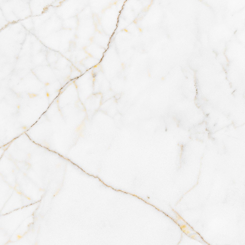 POR ESM CAPRICORN GOLD 7 MM PULIDO | Prosein